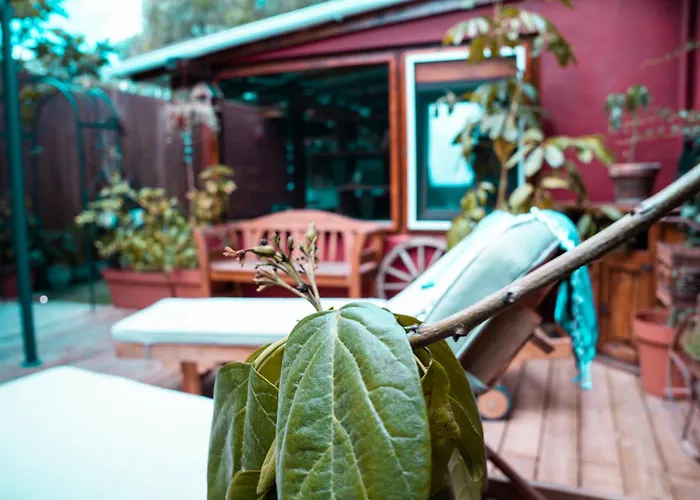 Red House Fuerteventura *