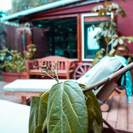 Red House Fuerteventura *